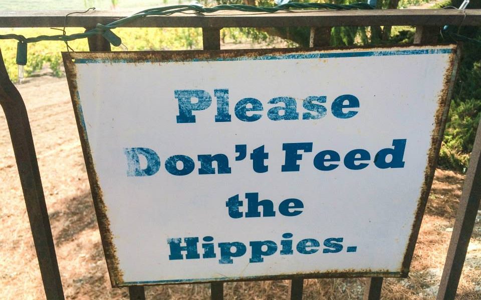 [please don't feed the hippies]